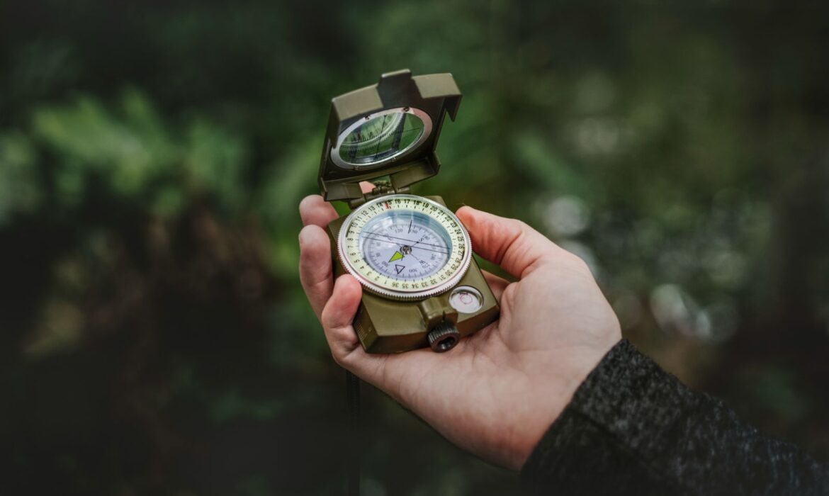 A marketing dzsungel és a hozzá való útiterv, vagy miért érdemes egy marketing tanácsadóval beszélgetni?